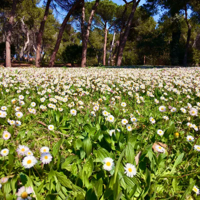 A filo d'erba