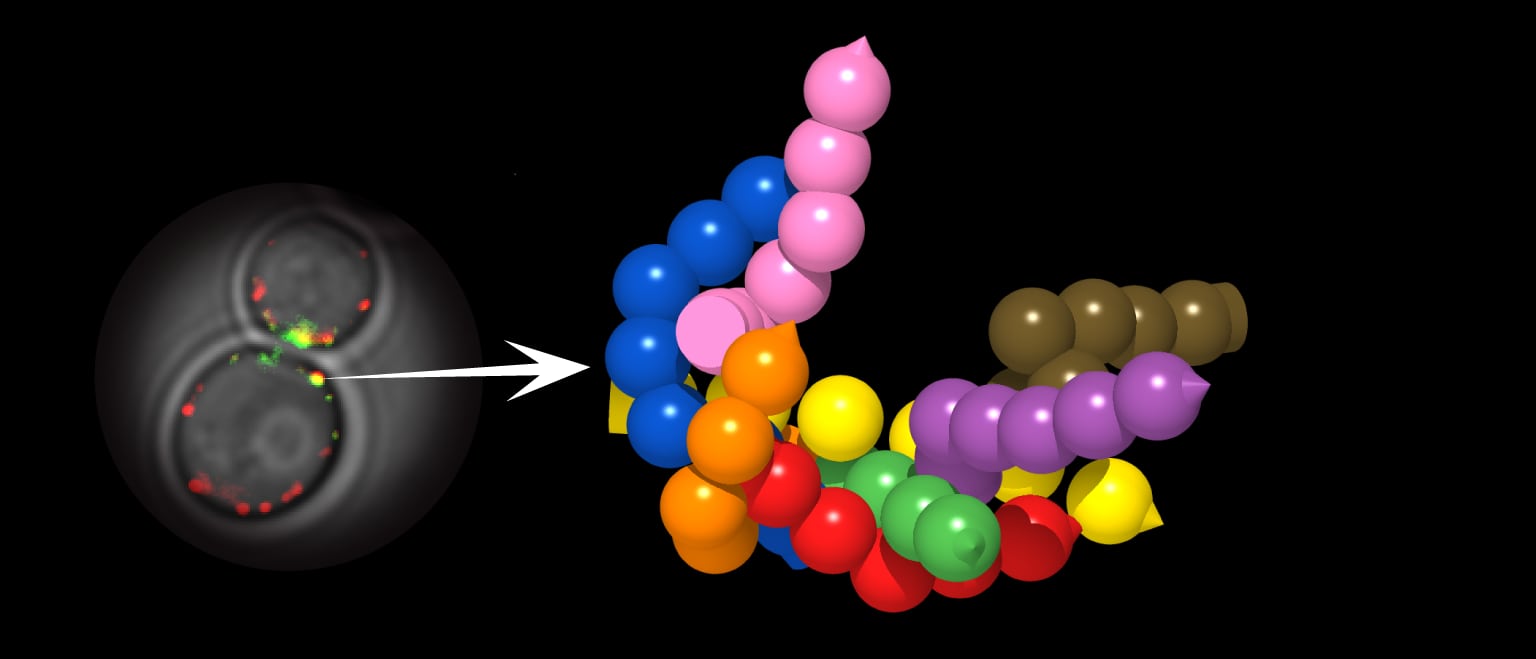 Overflow by Mircha Emanuel