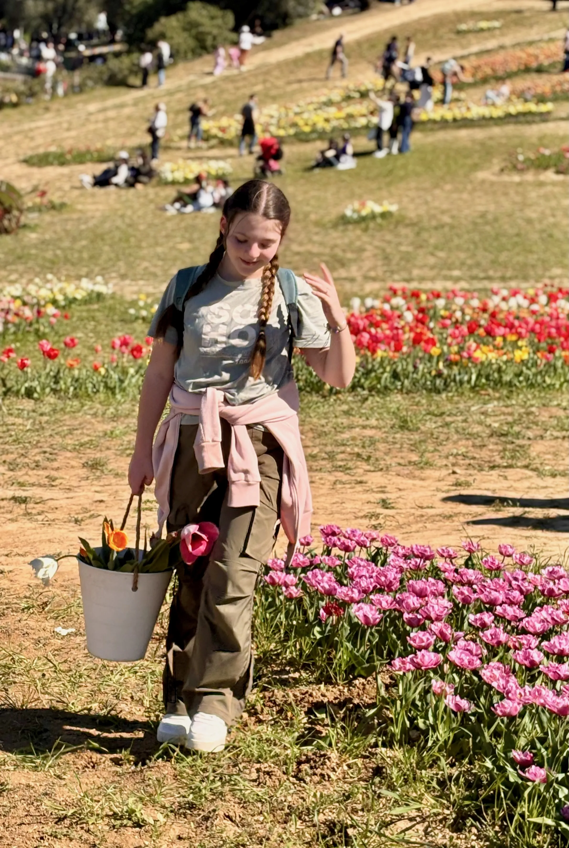 Tulipandia — tra i filari di tulipani